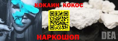 меф Гатчина