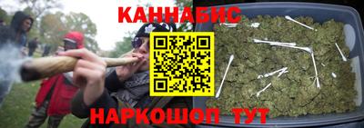 мдпв Гай