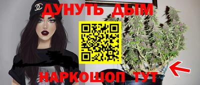 меф Гатчина