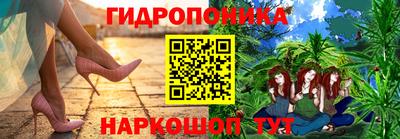меф Гатчина