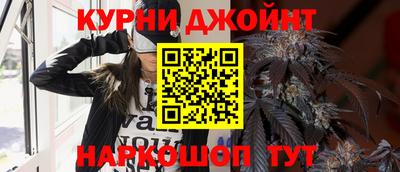 мдпв Гай