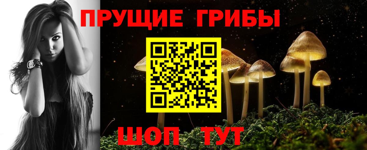 Железноводск  Галлюциногенные грибы мухоморы  Вход с VPN 